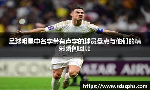 九游体育登录入口